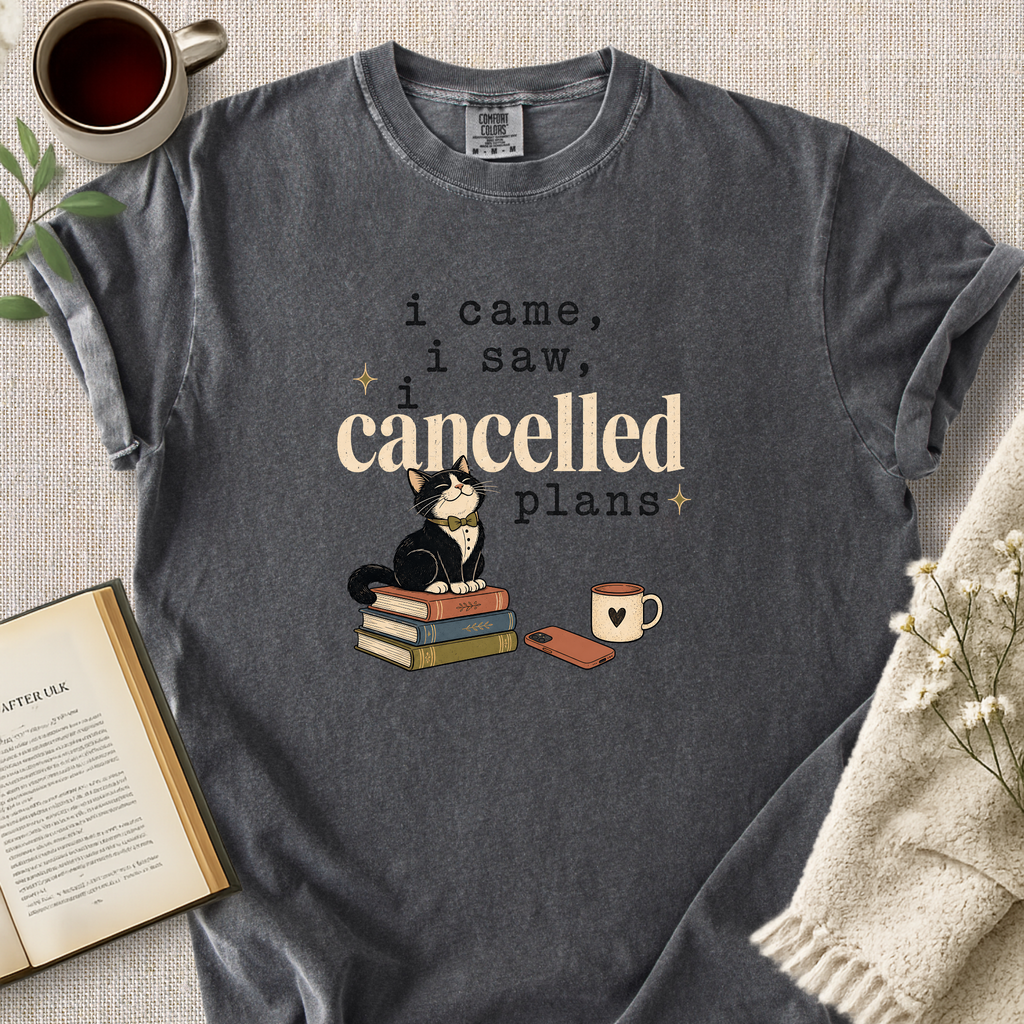"I Came, I Saw, I Cancelled Plans" Cozy Tee