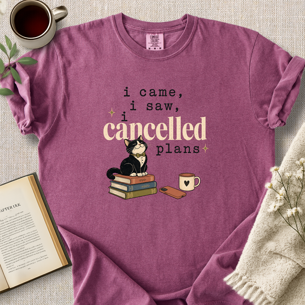 "I Came, I Saw, I Cancelled Plans" Cozy Tee